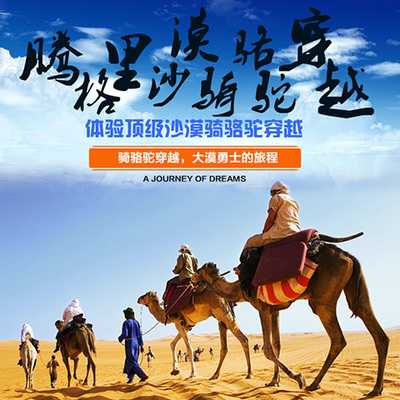 整合資源，打造專業(yè)旅游服務新生態(tài)