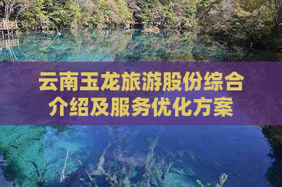 云南玉龍旅游股份 國內(nèi)旅游業(yè)務綜合解析與服務優(yōu)化藍圖