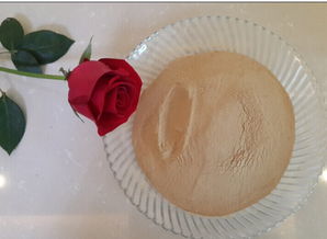 廠家直供優質啤酒酵母粉 水產養殖與動物飼料的天然營養選擇